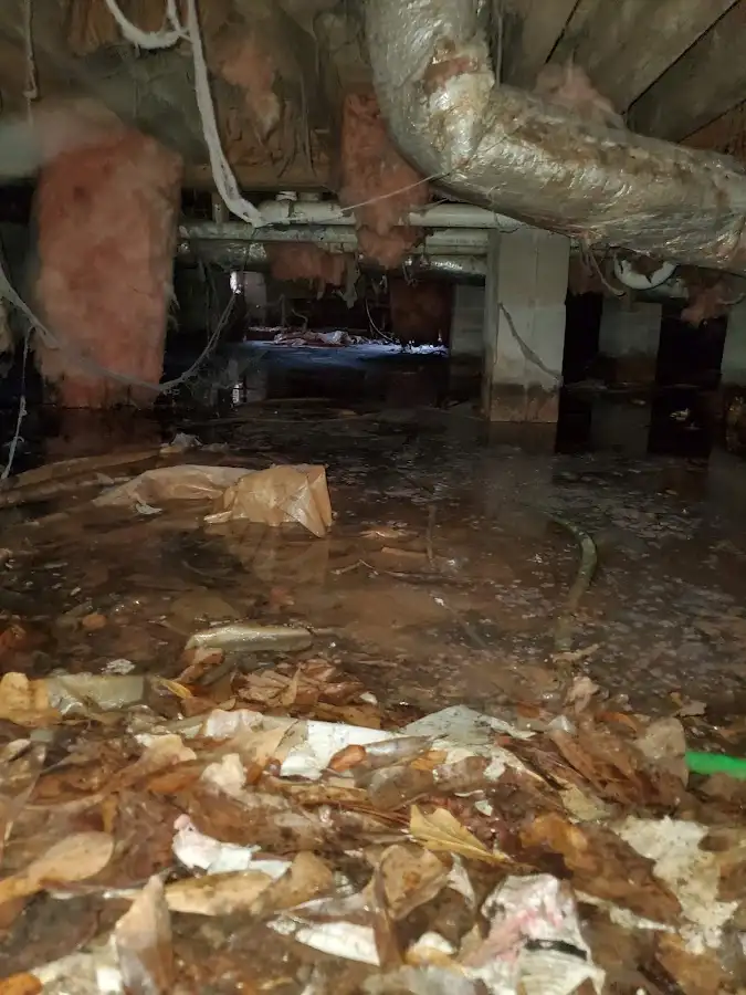 Crawl space flood assessment for Leak Detection & Repair in Griffin