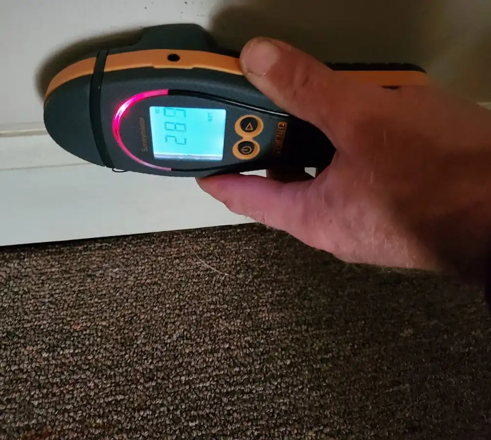Moisture detection at baseboard during Sewage Cleanup & Sanitation in Griffin
